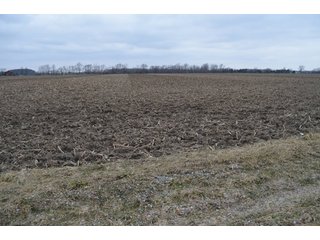 Property photo 13 - 175 Acres Offered in 5 Tracts - Tontogany, Ohio Farm Land Auction